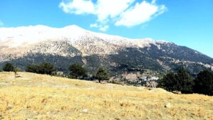 Buy Land for sale in Antalya, Turkey