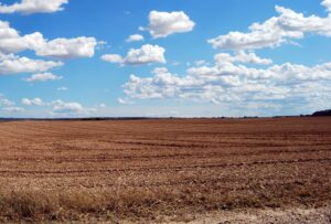 Antalya’da Satılık Arsalar, Türkiye