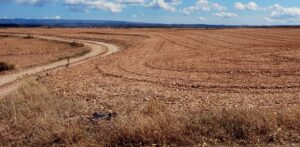 Antalya Döşemealtı Satılık Arsalar