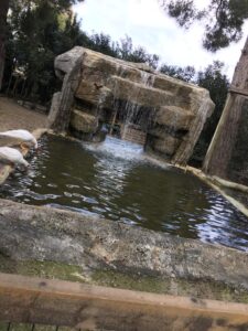 شقق و فلل مطلة على البحر للبيع في كيمير انطاليا