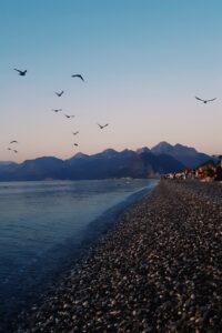 مشاريع ناجحة في انطاليا لابد من دراستها قبل البدئ فيها